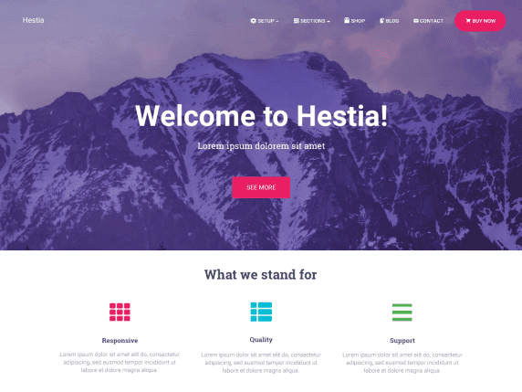 Hestia- Best WordPress themes 2021