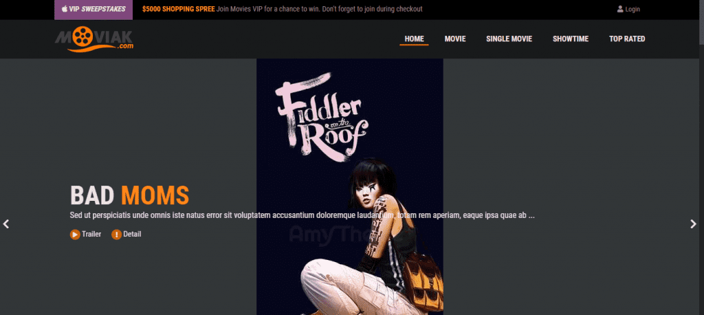 AmyMovie- best movies WordPress themes