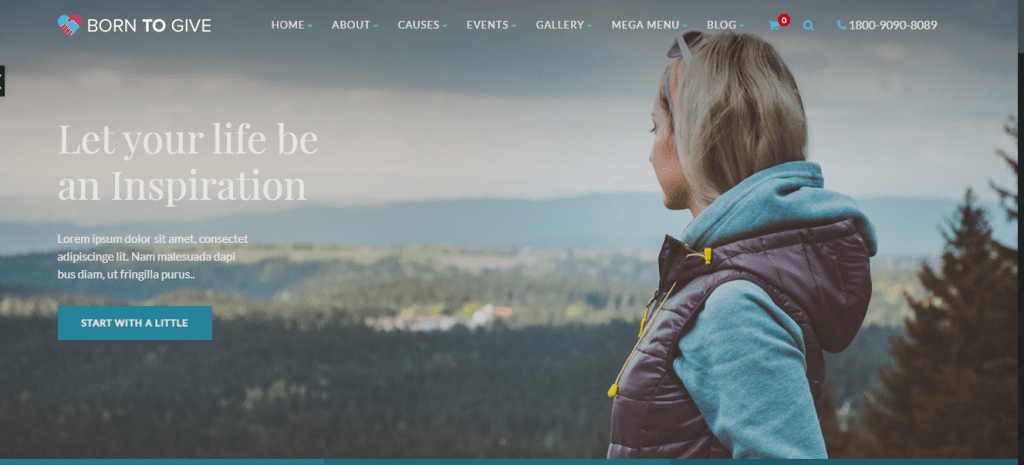 Born to Give- best Charity WordPress themes, ThemeGem