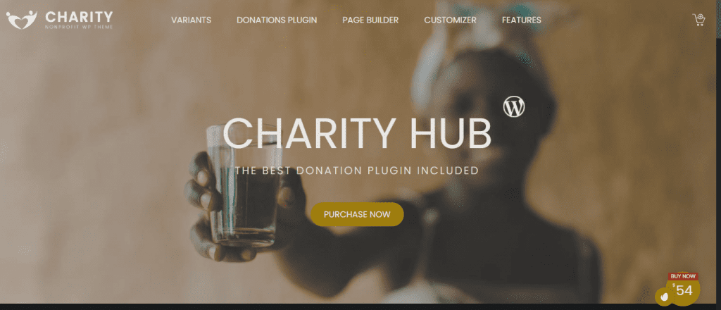 Charity hub- best WordPress themes for non-profit, ThemeGem