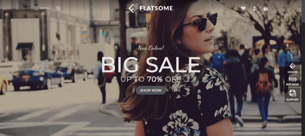 Flatsome- best WordPress themes for multipurpose websites