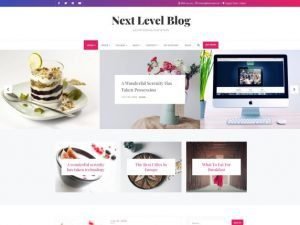 Best Free Minimal WordPress themes- Next level